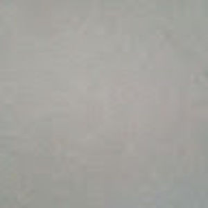 Meet your Posher, Elsa